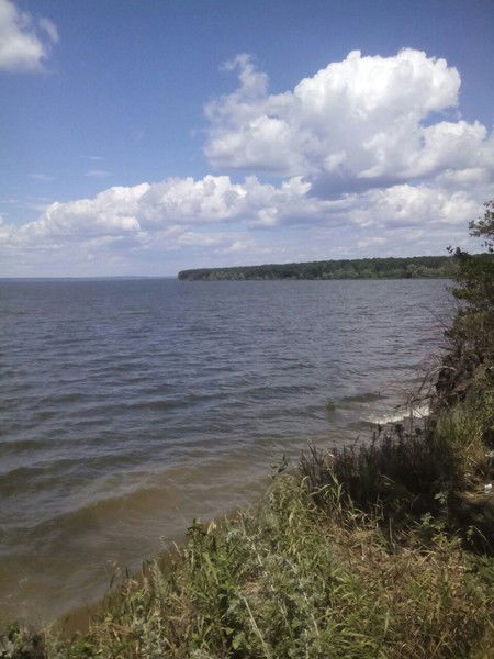 Светлана Солнцева