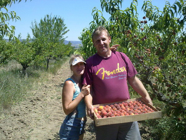 Геннадий Бекетов