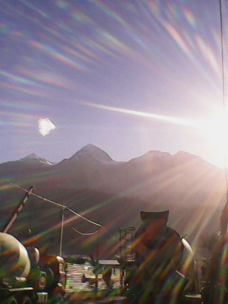 Александра Баранникова