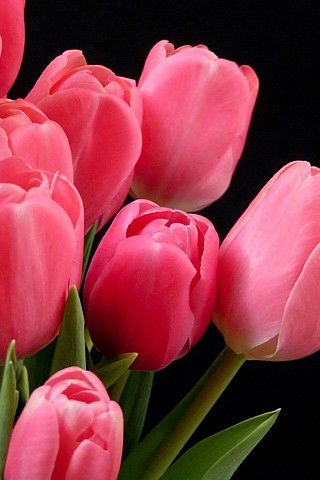 Гульназ Хисамова