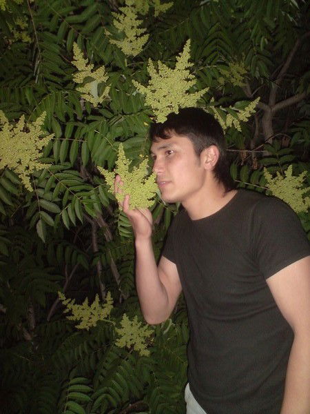 Бекмурад Макамбаев