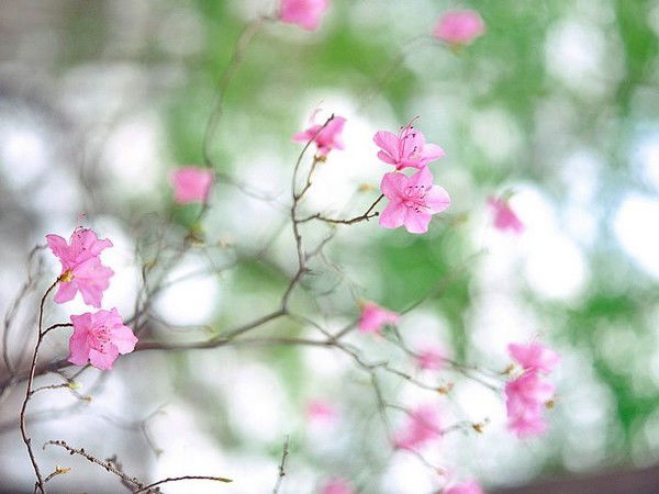 Ирина Тузова