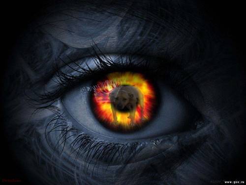 Медвед Косолапый