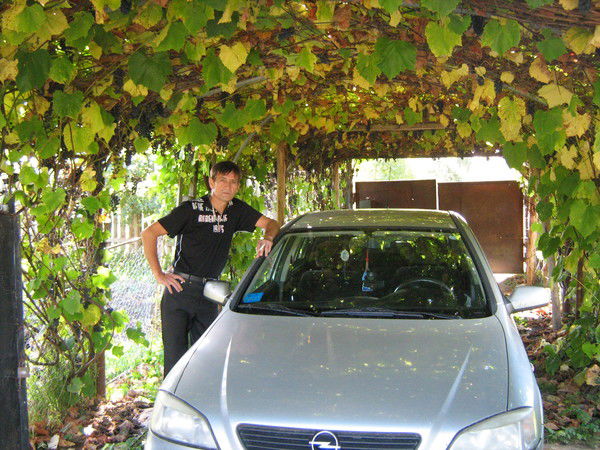 Александр Москалёв