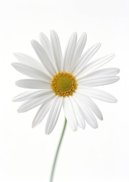 Татьяна Сапрыкина