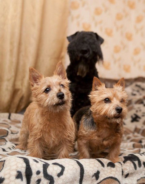 Тамара Якухнова