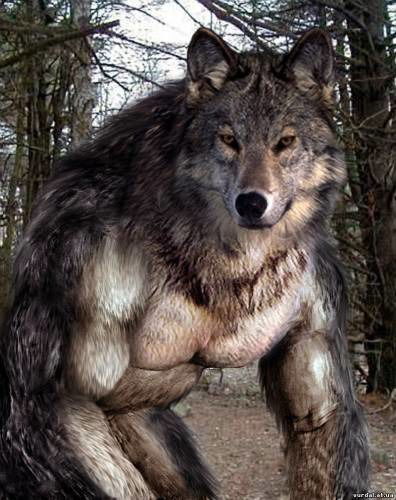 Петр Головочесов