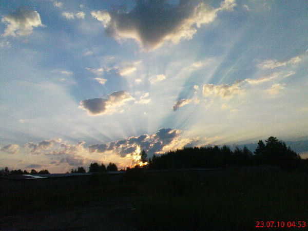 Наталья Шелегова