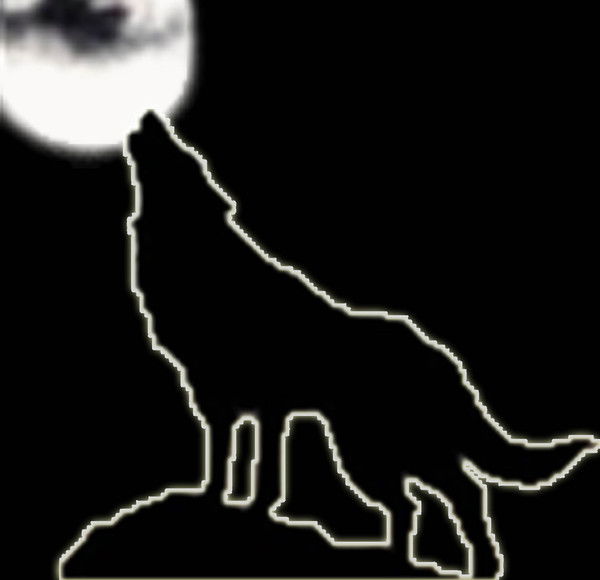 Ирина Фролова