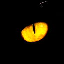 Your Majesty Darkness