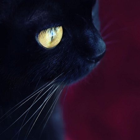 Наталья Никитина