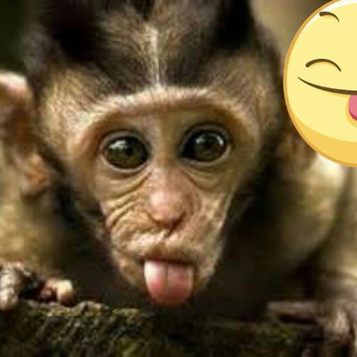 Анна Зателепа