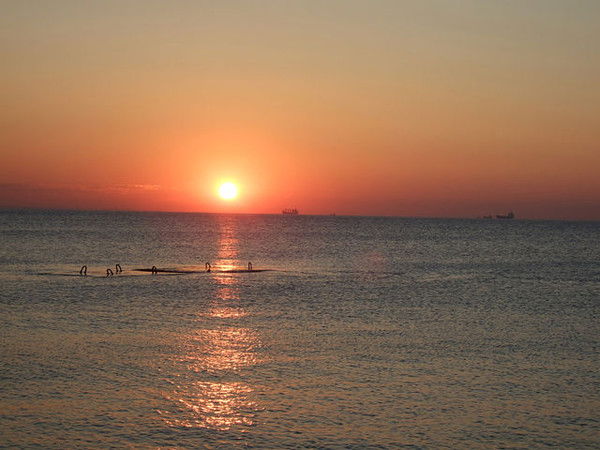 Рцсссдм ********