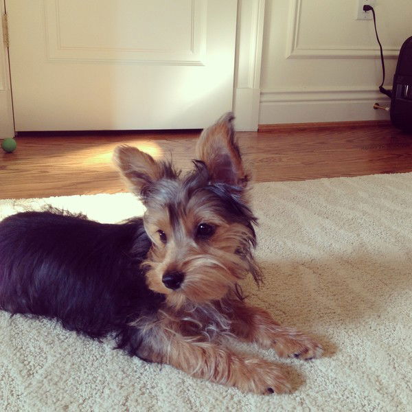 Курман Жалбиров