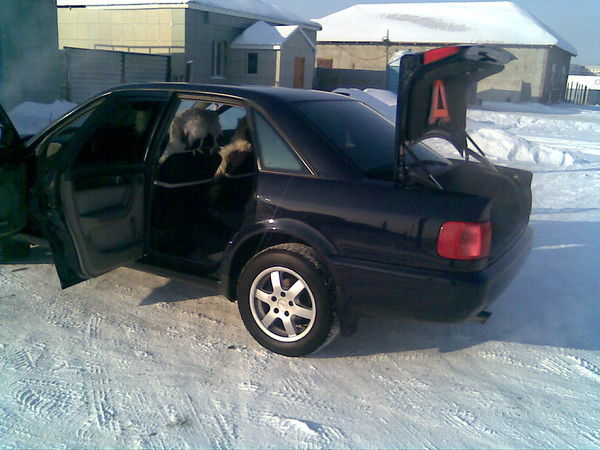 Аслан Абишев