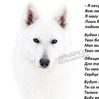 Карина Матрасулова