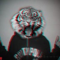 Данил Бельфер