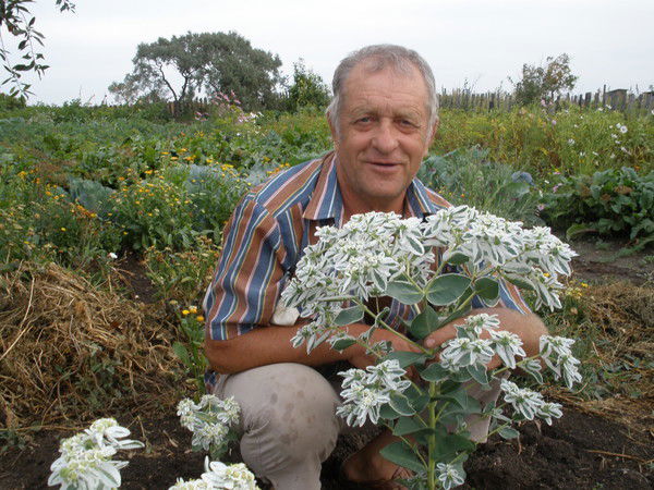 Александр Троянов