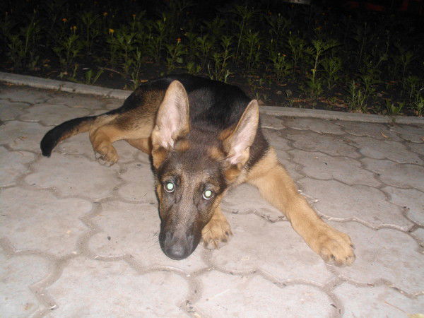 Оля Никулина