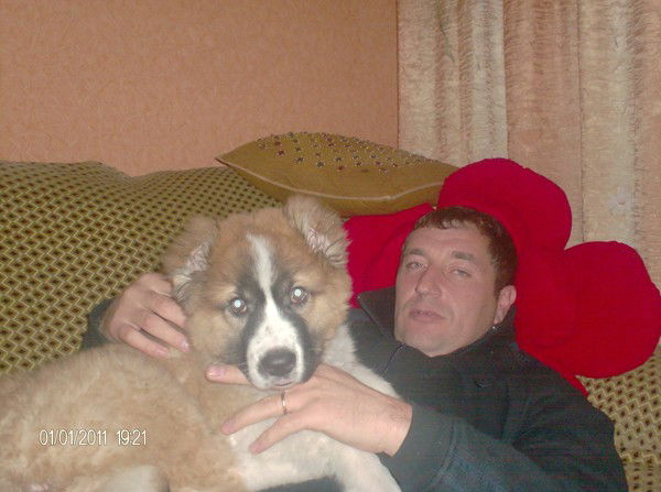 Вадим Журба