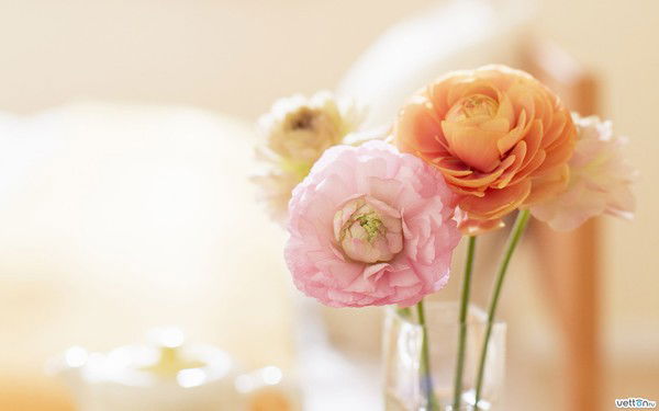 Карина Подойникова