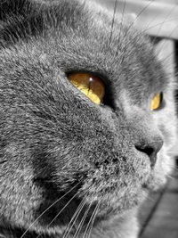 Сергей Фомин