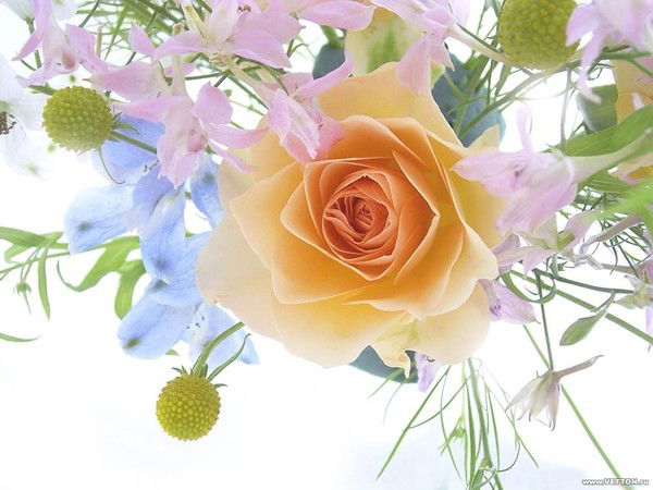 Сауле Бектемисова