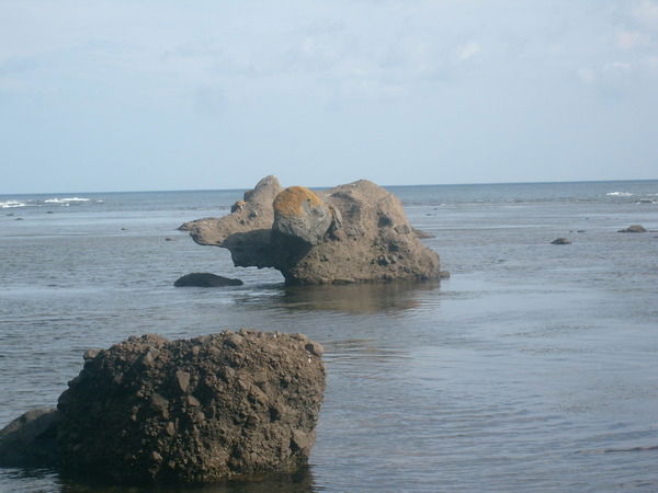 Ольга Евтифеева