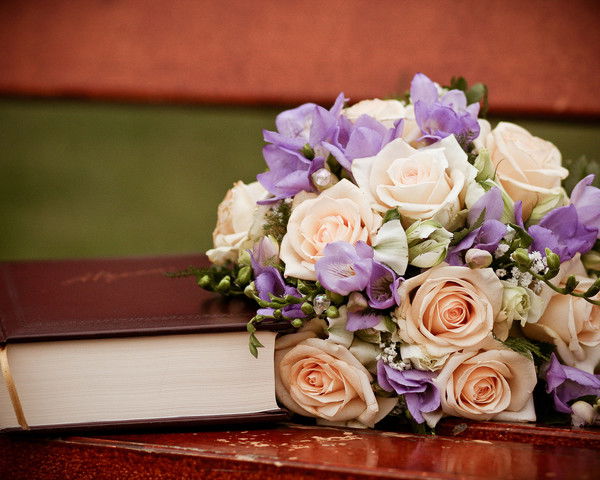 Елена Петухова