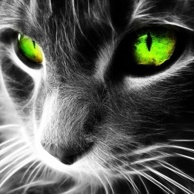 Олег Татаринов