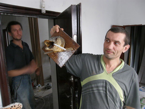 Сергей Кучеренко