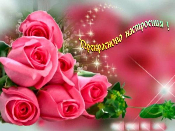 Елена Смирнова