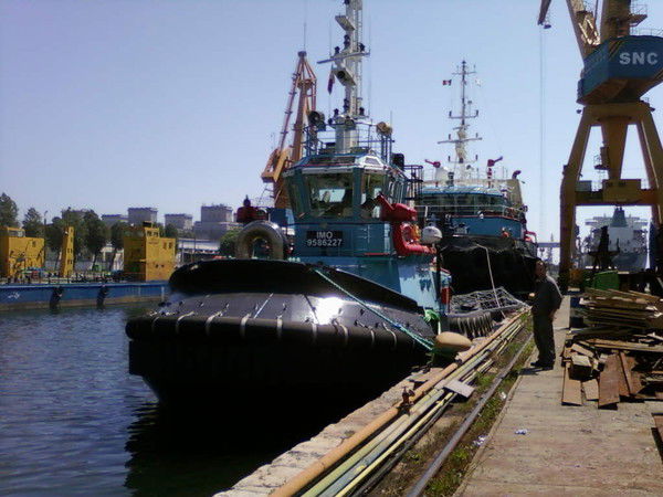 Ламналко Беркут