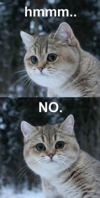 Катя Шарова