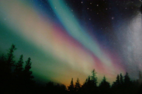 Олег Добровольский