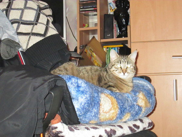 Марина Ходарева