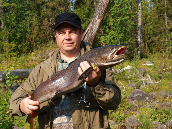 Андрей Солодилов