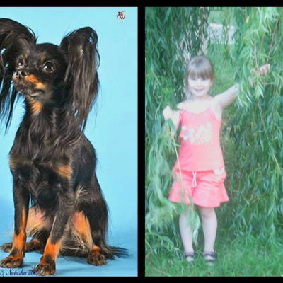 Софья Загнетко