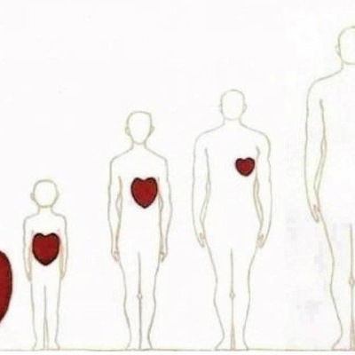 Василий Сенчук