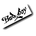 <Bad_ Boy>