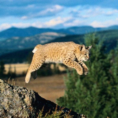 Андрей Сабитов