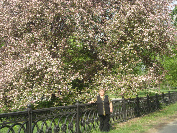 Татьяна Алексеева