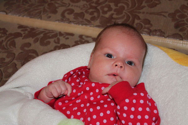 Павел Писаренко