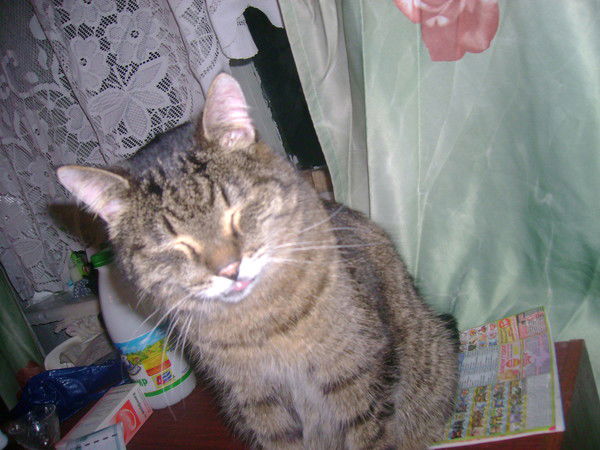 Игорь Вычужанин