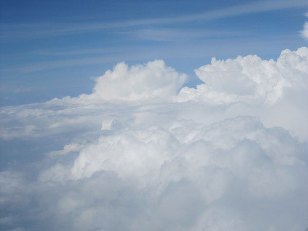 Татьяна Голикова