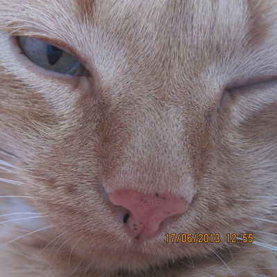 Настя Коняева