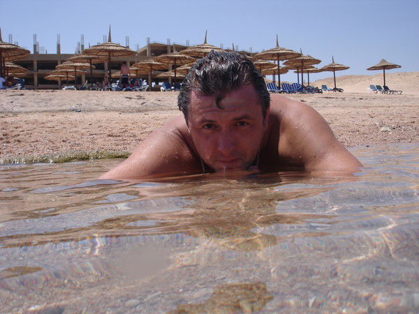 Владимир Николаев