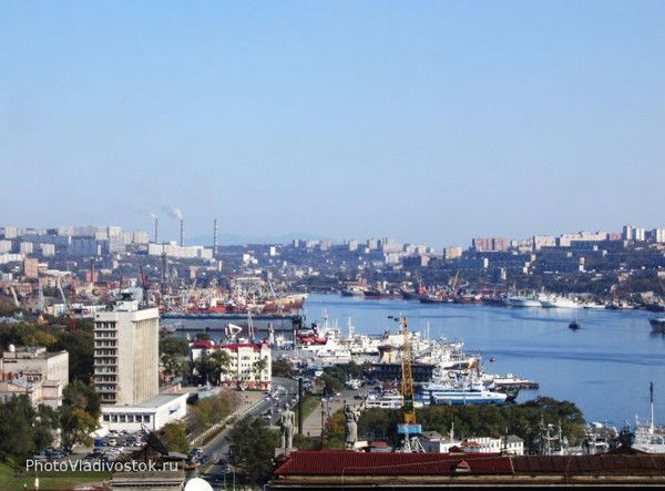 Елена Шнейдер