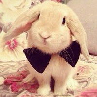 Саша Чабуркина