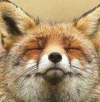 Александра Гаврилова